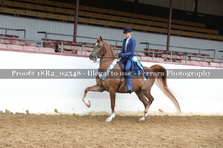 Proof 18R2_02548