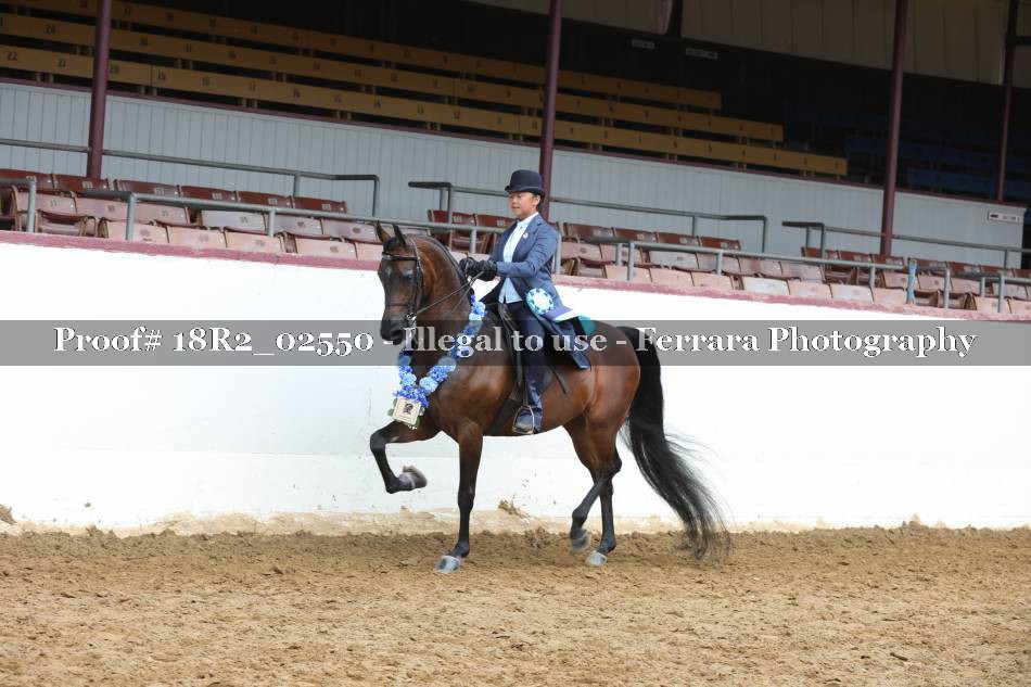 Proof 18R2_02550