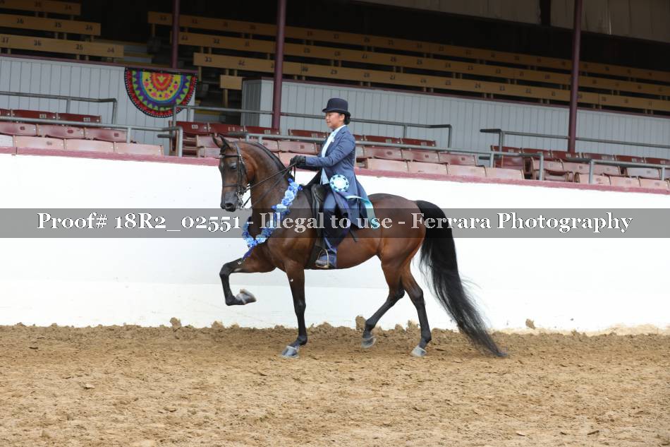 Proof 18R2_02551