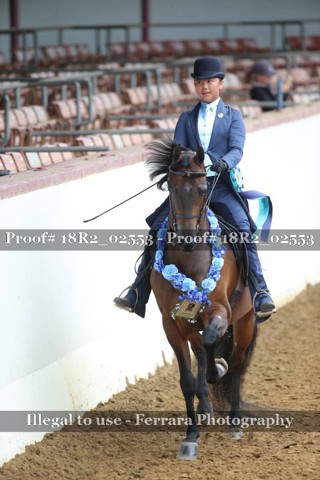 Proof 18R2_02553