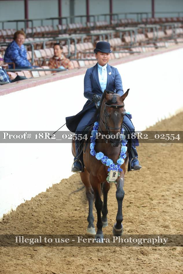 Proof 18R2_02554