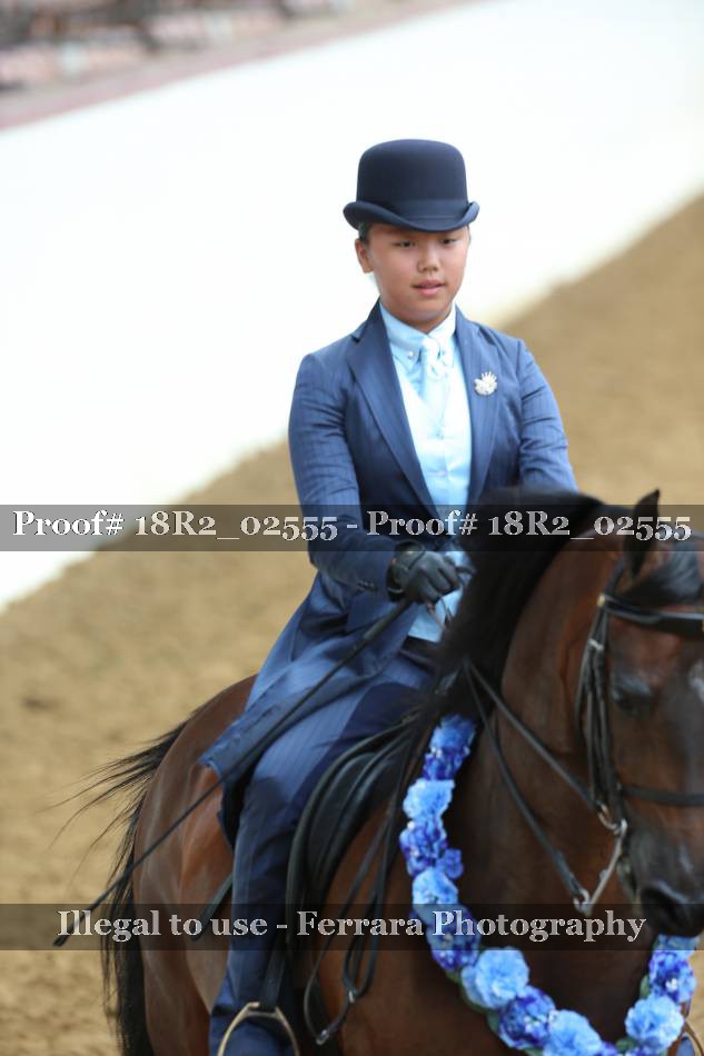 Proof 18R2_02555