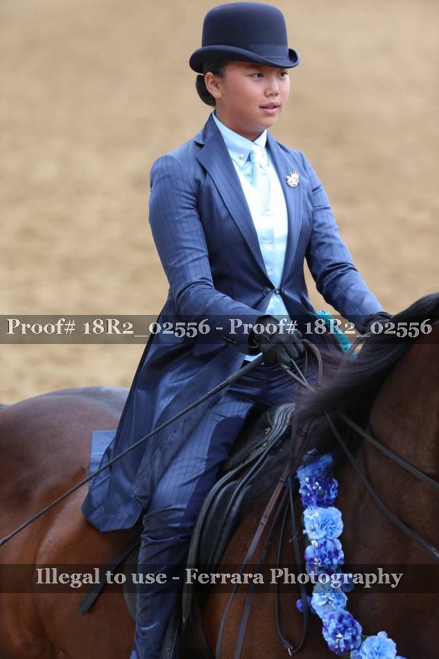 Proof 18R2_02556