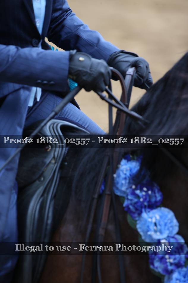 Proof 18R2_02557