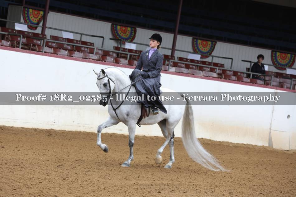 Proof 18R2_02585