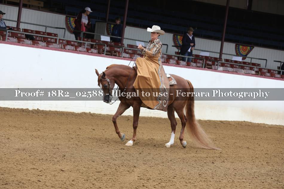 Proof 18R2_02588