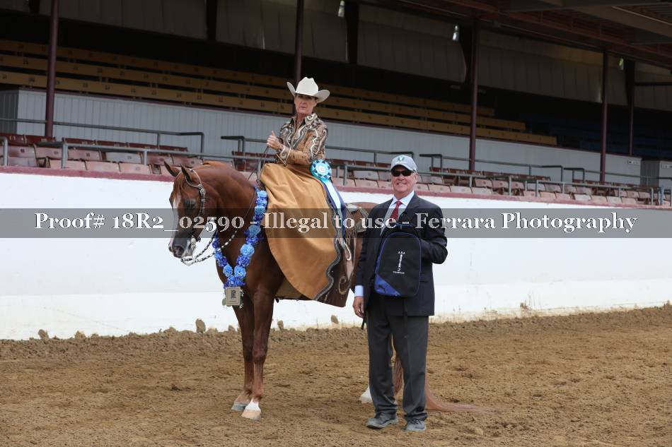 Proof 18R2_02590