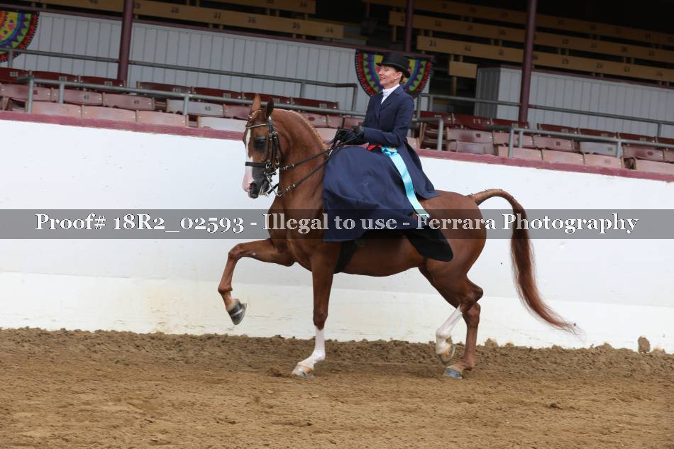 Proof 18R2_02593