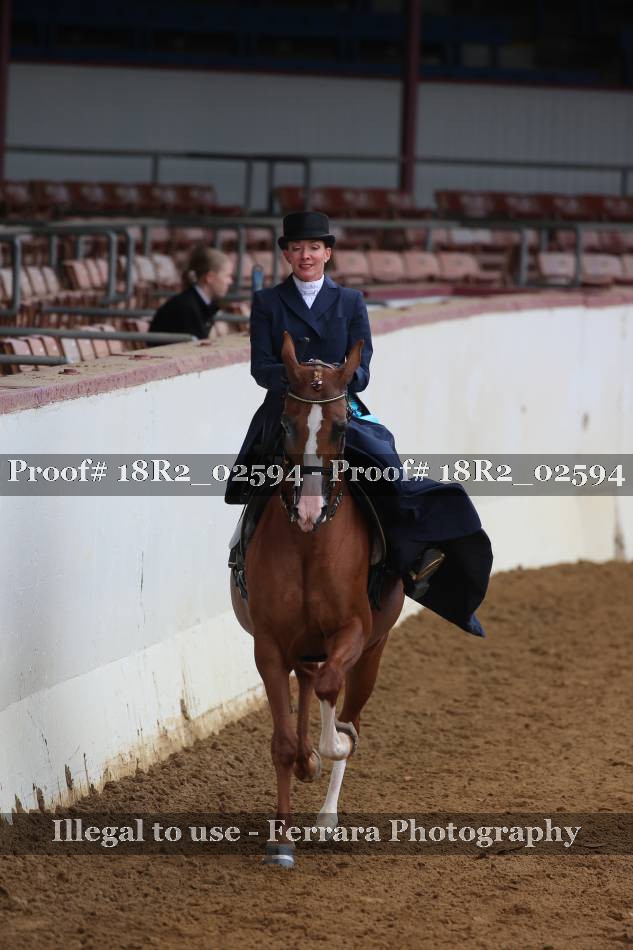 Proof 18R2_02594