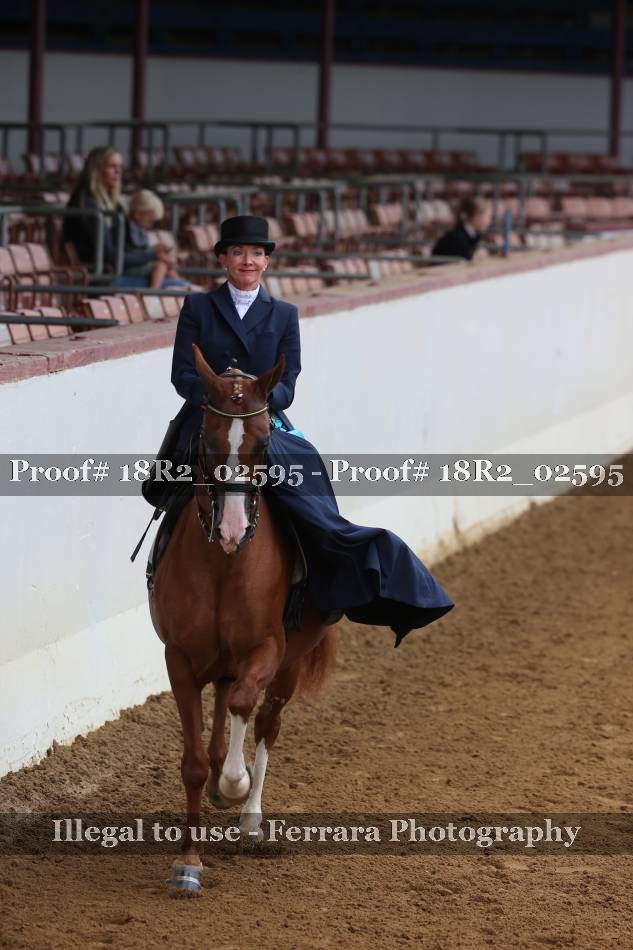 Proof 18R2_02595