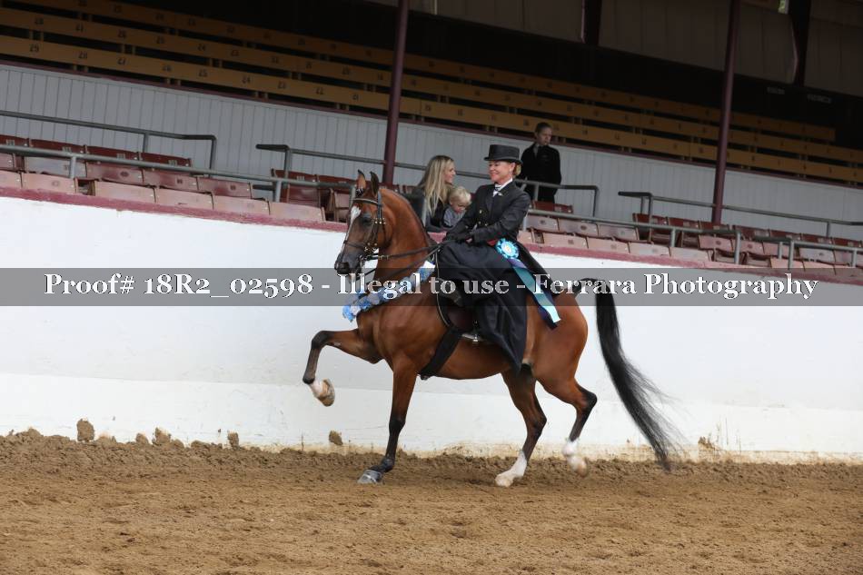 Proof 18R2_02598