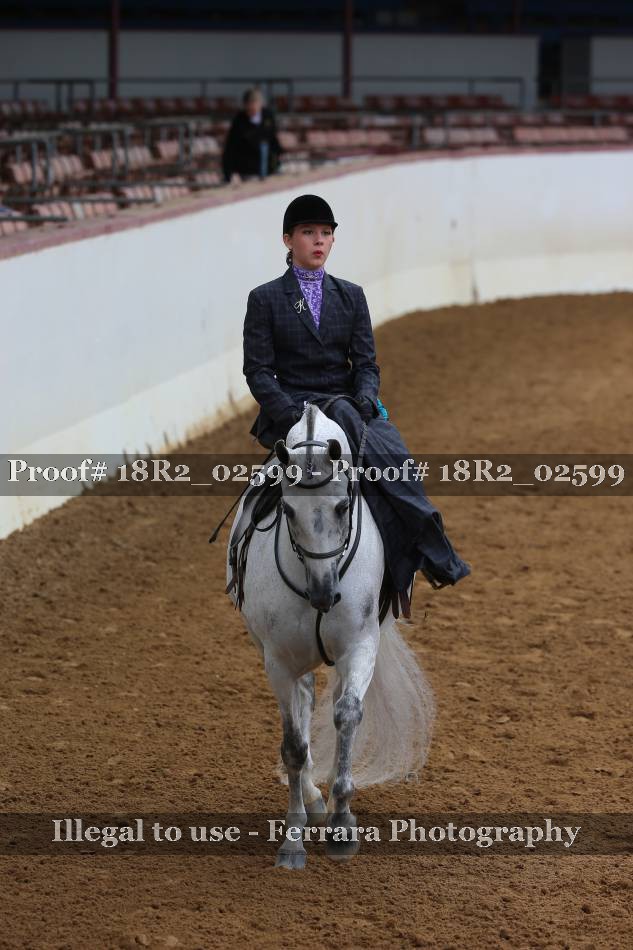 Proof 18R2_02599