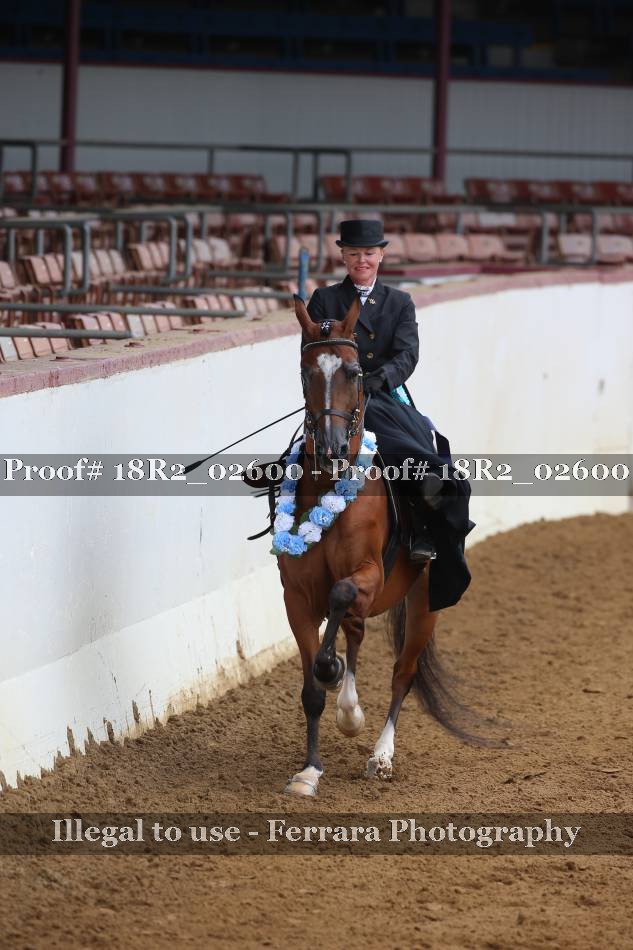 Proof 18R2_02600