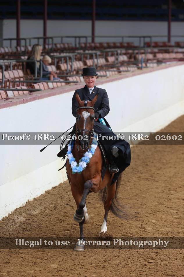 Proof 18R2_02602