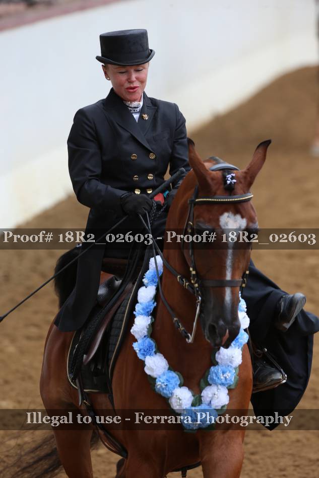 Proof 18R2_02603