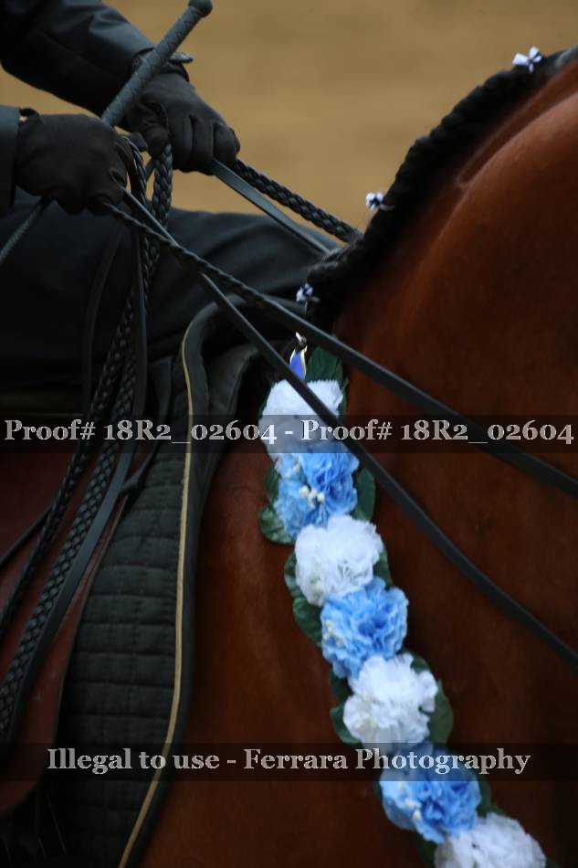 Proof 18R2_02604
