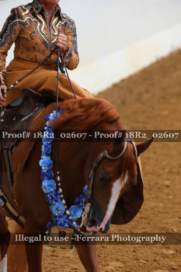 Proof 18R2_02607
