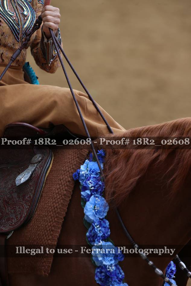 Proof 18R2_02608