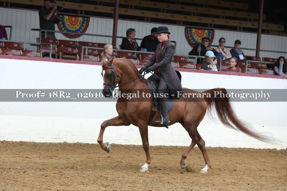 Proof 18R2_02616