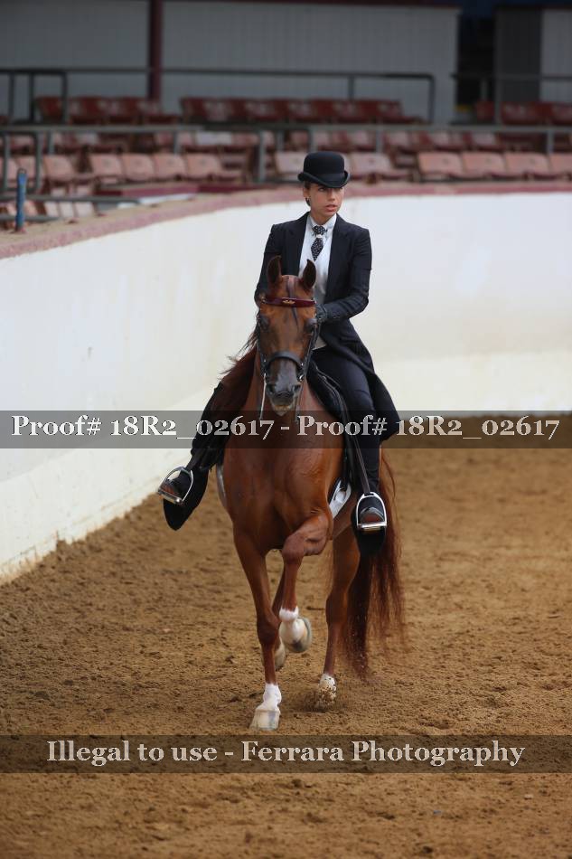 Proof 18R2_02617