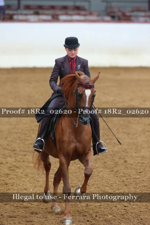 Proof 18R2_02620