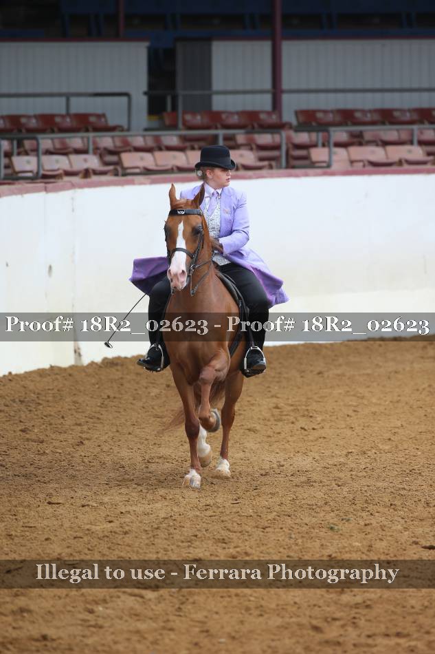 Proof 18R2_02623