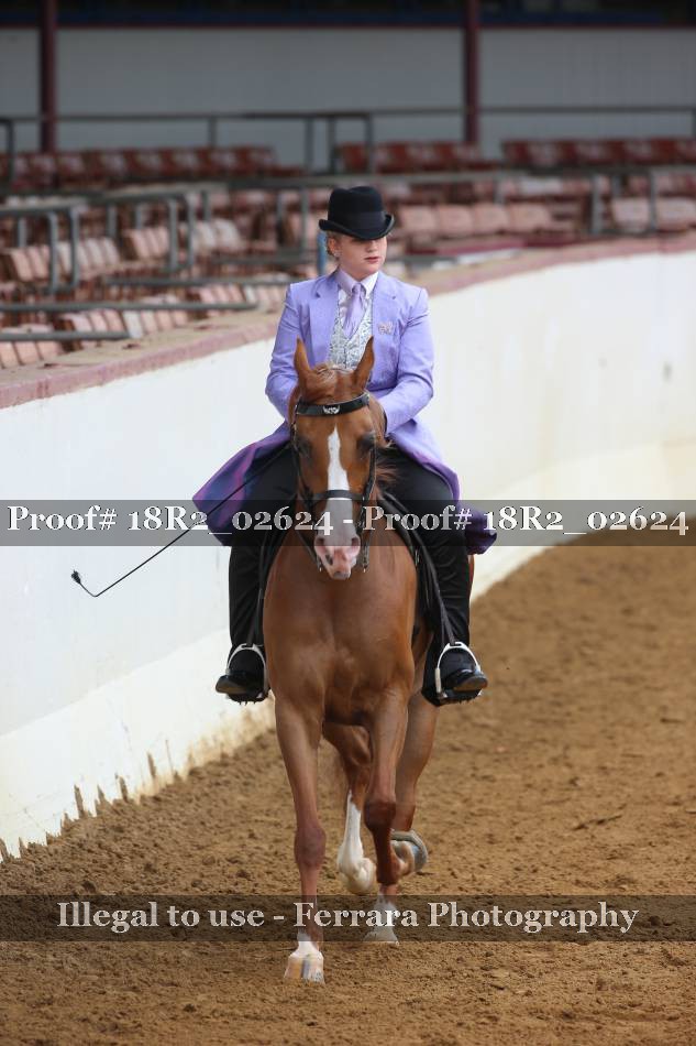 Proof 18R2_02624