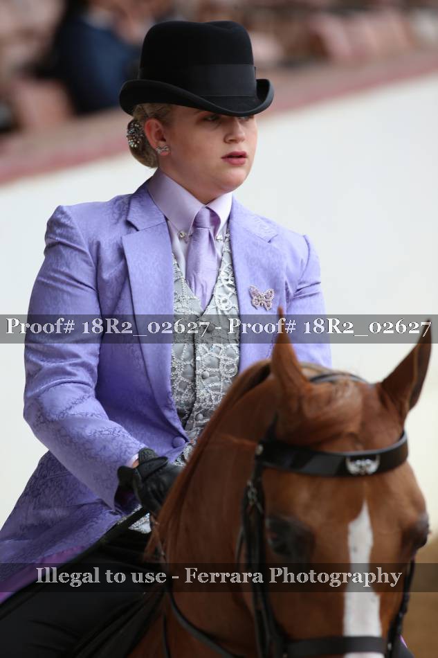 Proof 18R2_02627
