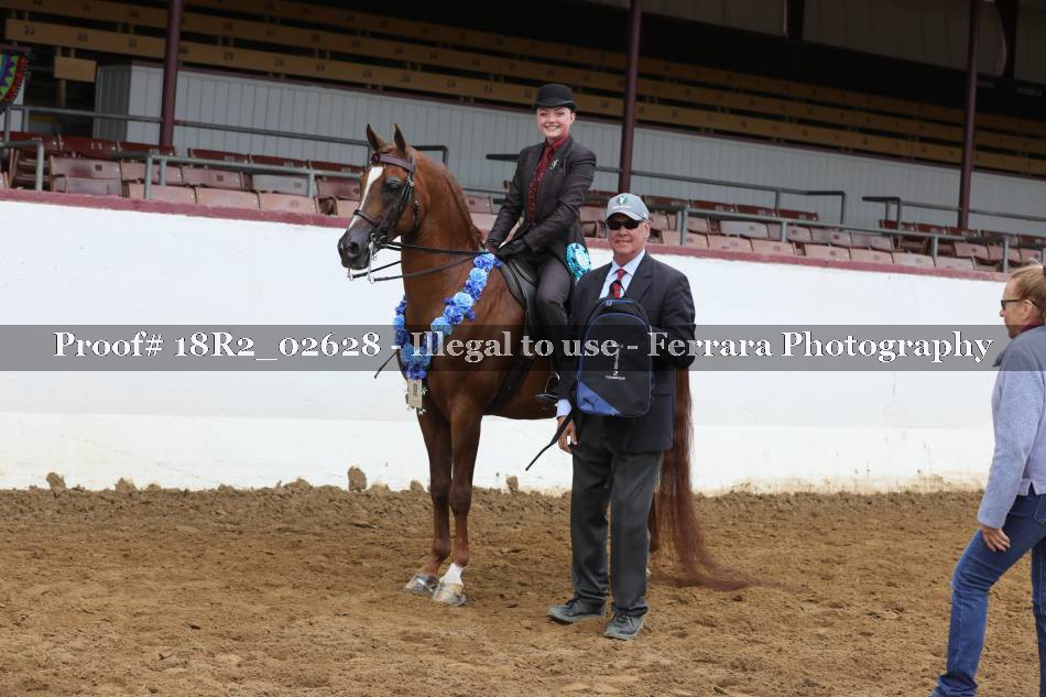 Proof 18R2_02628