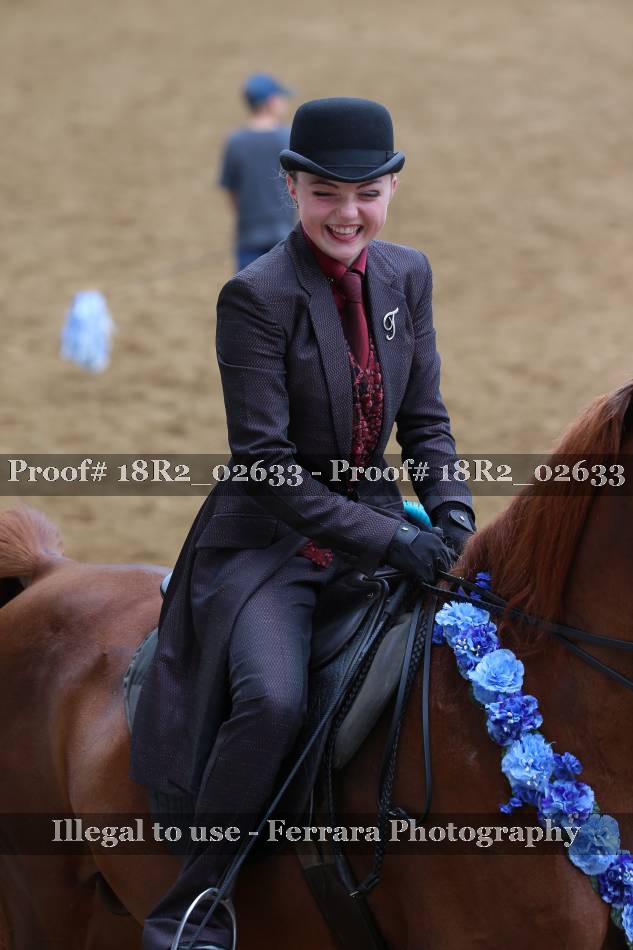 Proof 18R2_02633