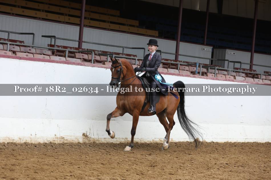 Proof 18R2_02634
