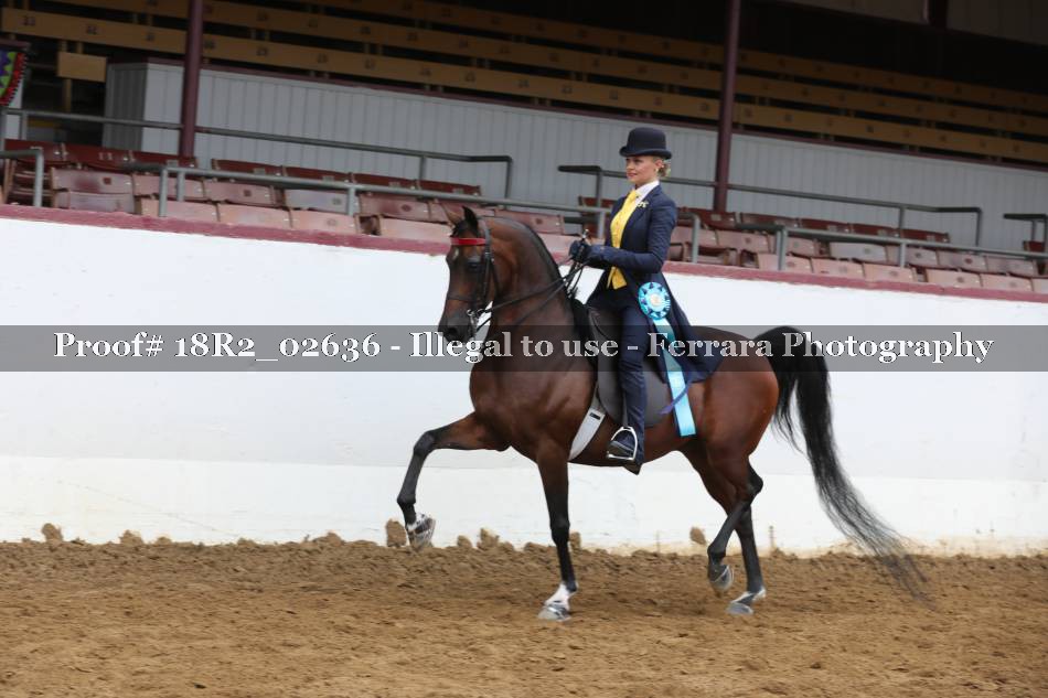 Proof 18R2_02636