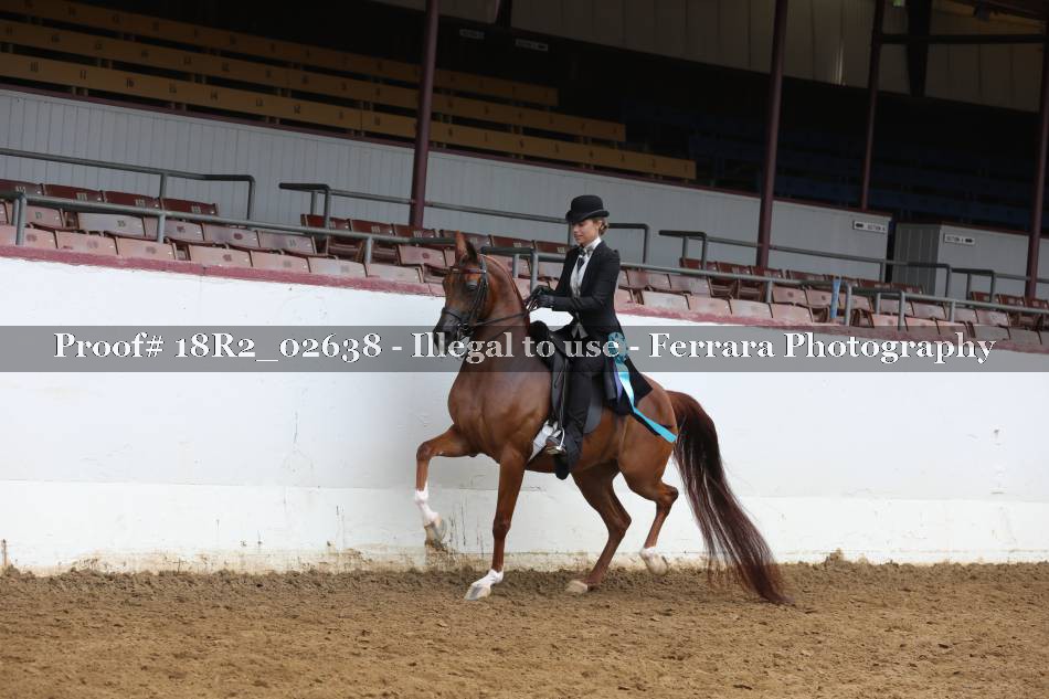 Proof 18R2_02638