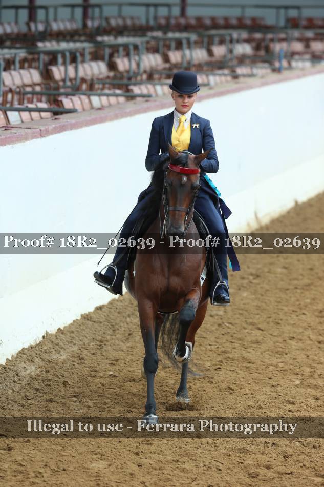 Proof 18R2_02639