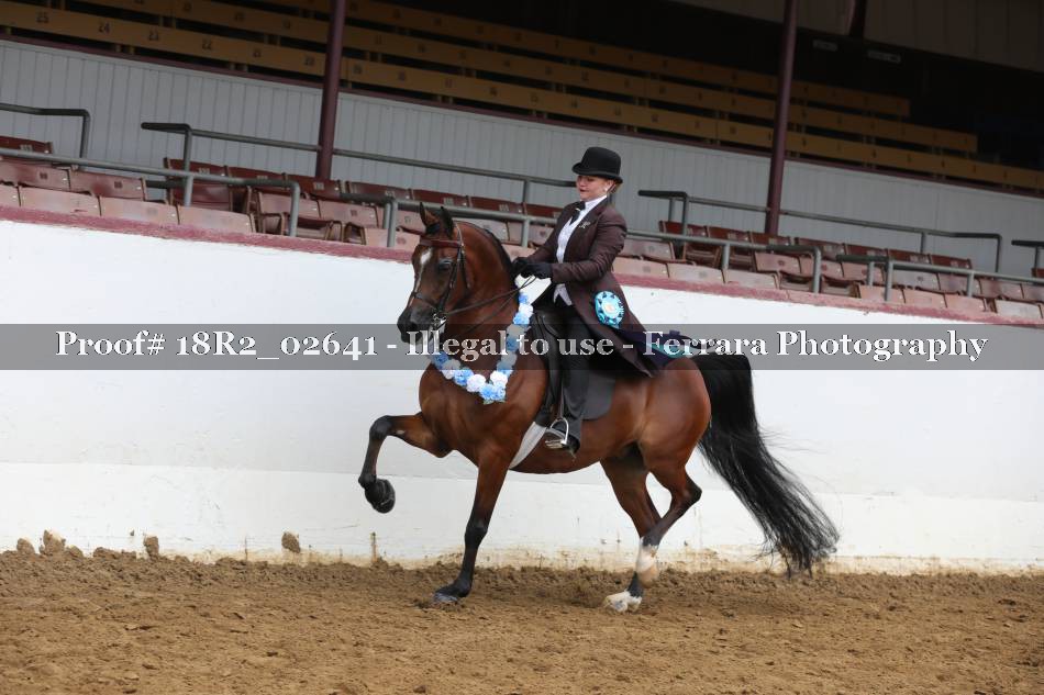 Proof 18R2_02641