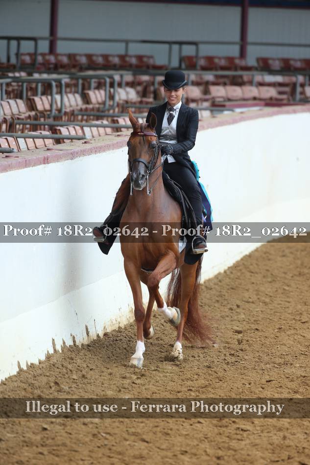 Proof 18R2_02642