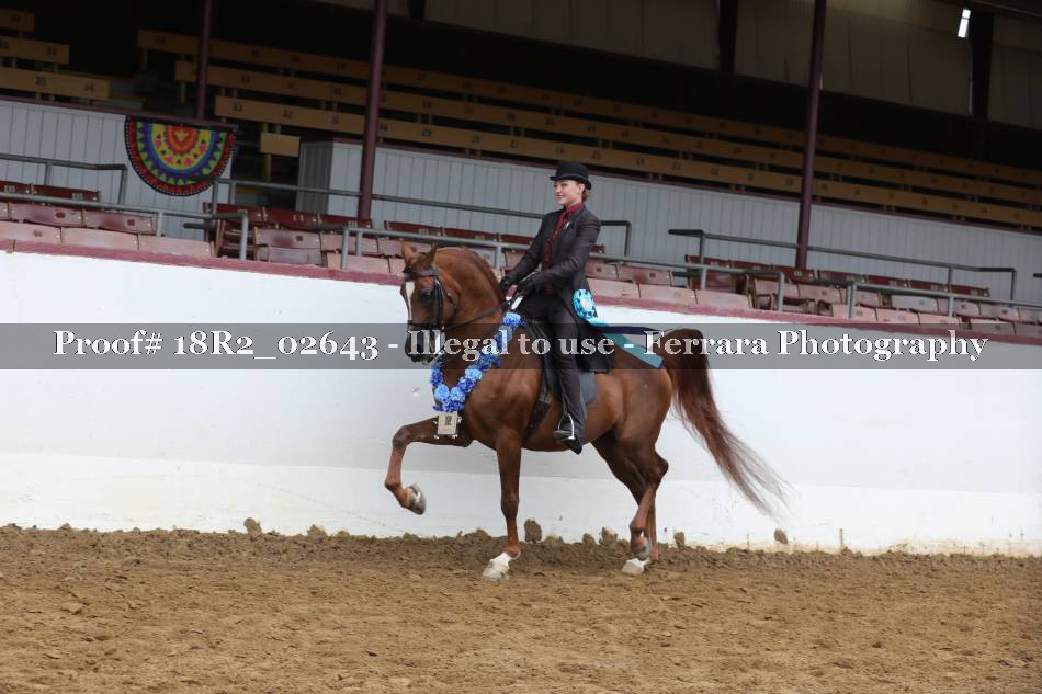 Proof 18R2_02643