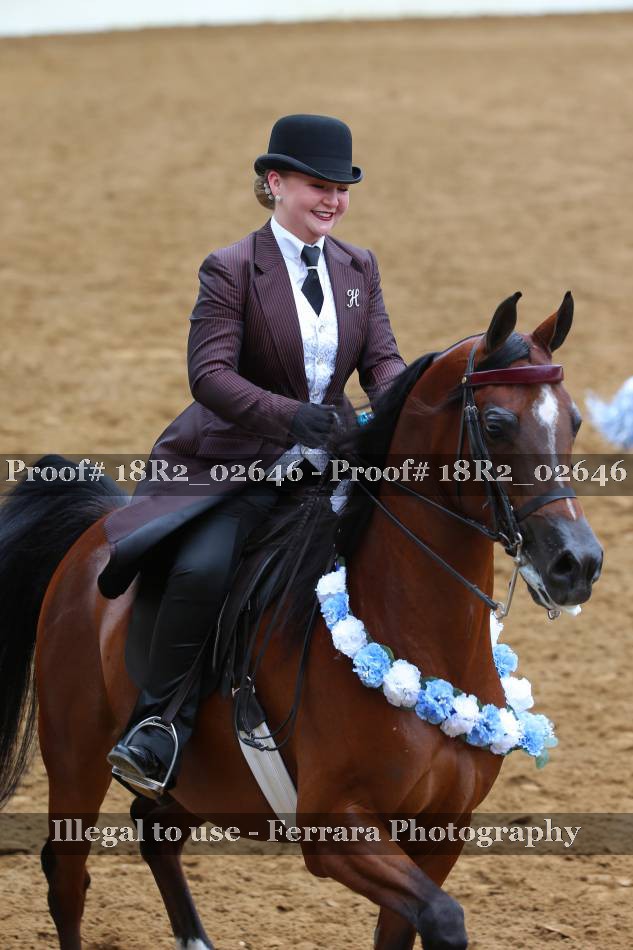 Proof 18R2_02646