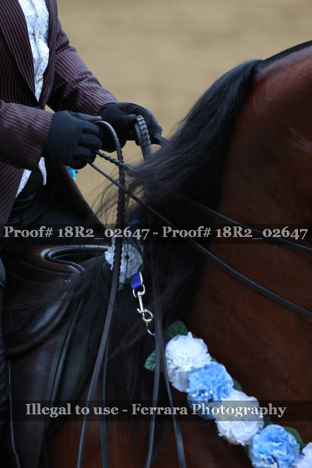 Proof 18R2_02647