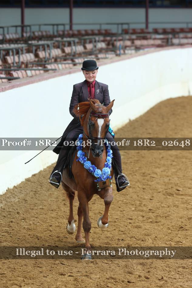 Proof 18R2_02648