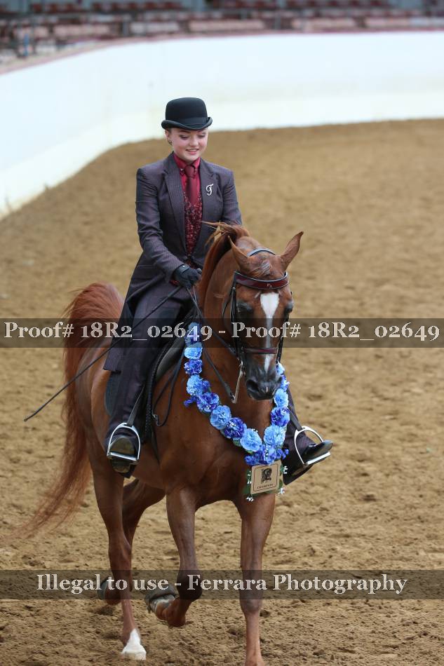 Proof 18R2_02649