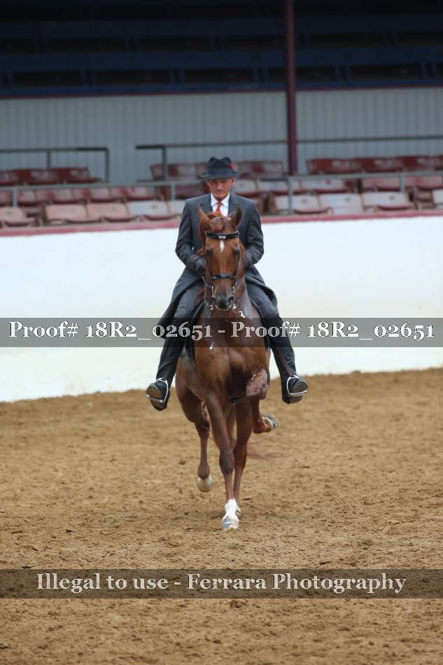 Proof 18R2_02651