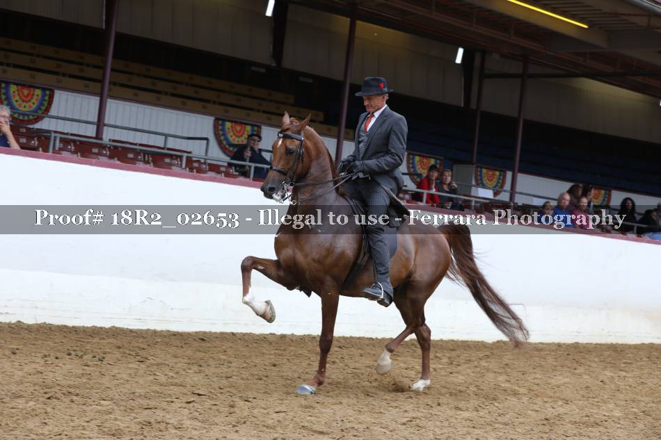 Proof 18R2_02653
