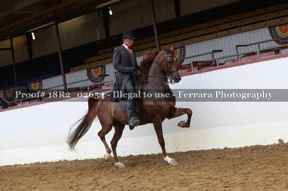 Proof 18R2_02654