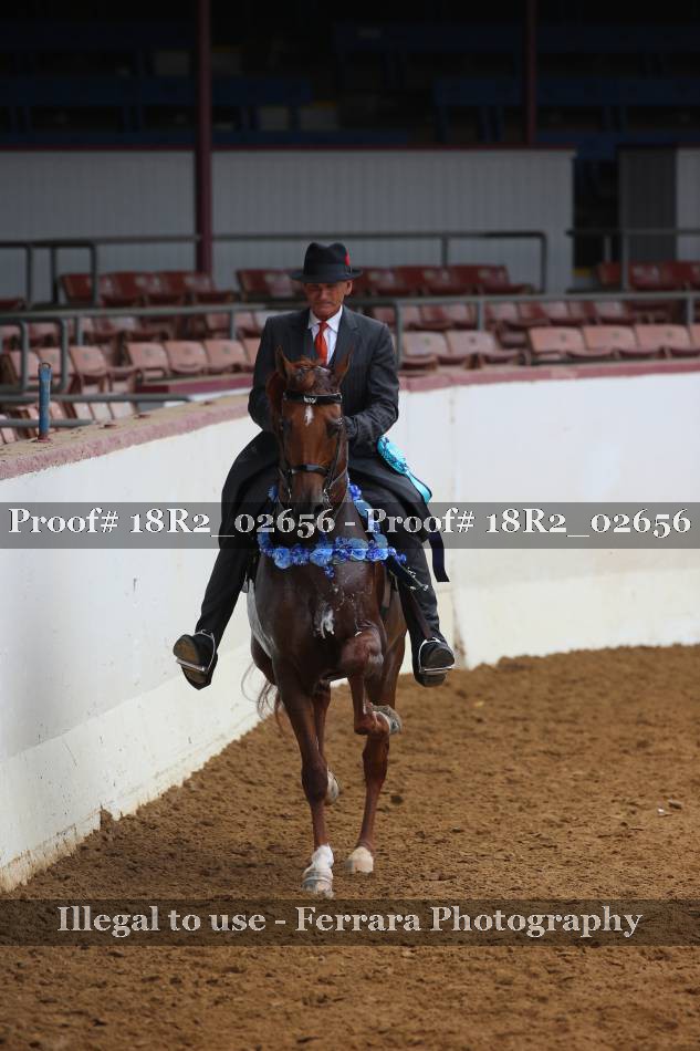 Proof 18R2_02656
