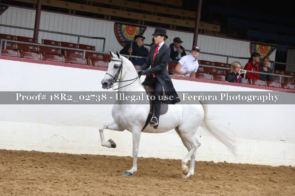 Proof 18R2_02738