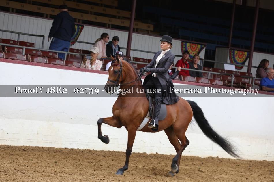 Proof 18R2_02739