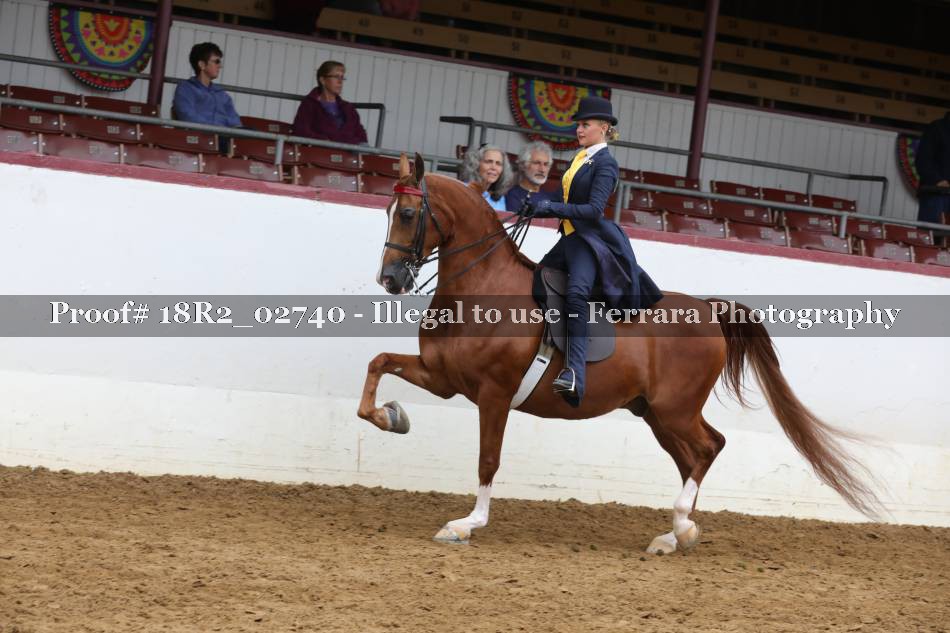 Proof 18R2_02740
