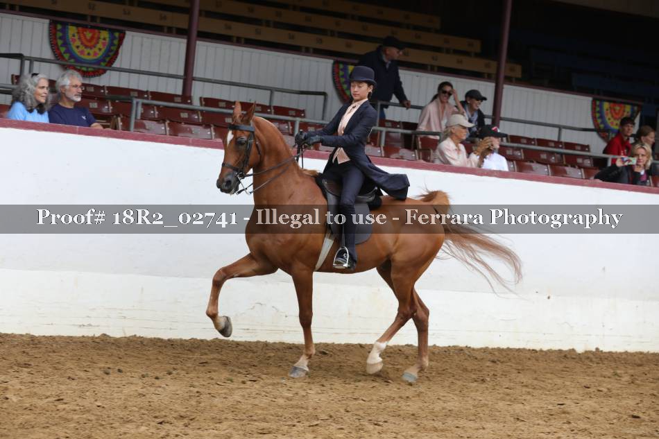 Proof 18R2_02741