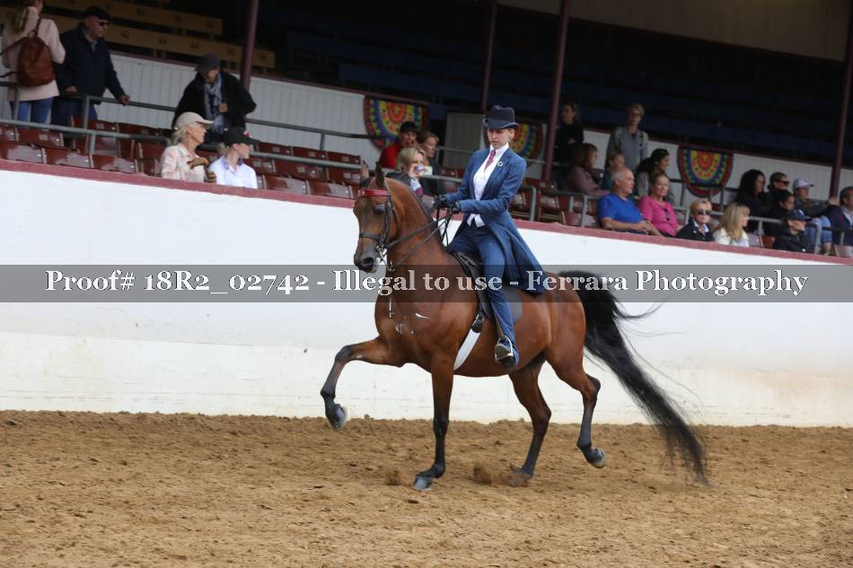 Proof 18R2_02742